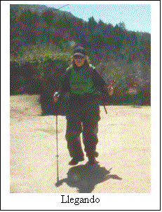 Cuadro de texto:  
Llegando
