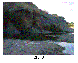 Cuadro de texto:  
El T10
